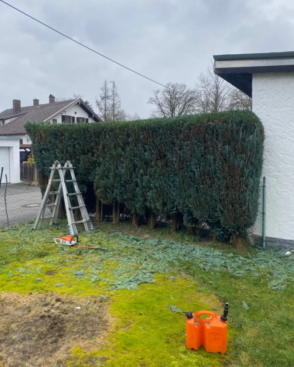 Sauber geschnittene Hecke an einer Grundstücksgrenze nach der Gehölzpflege