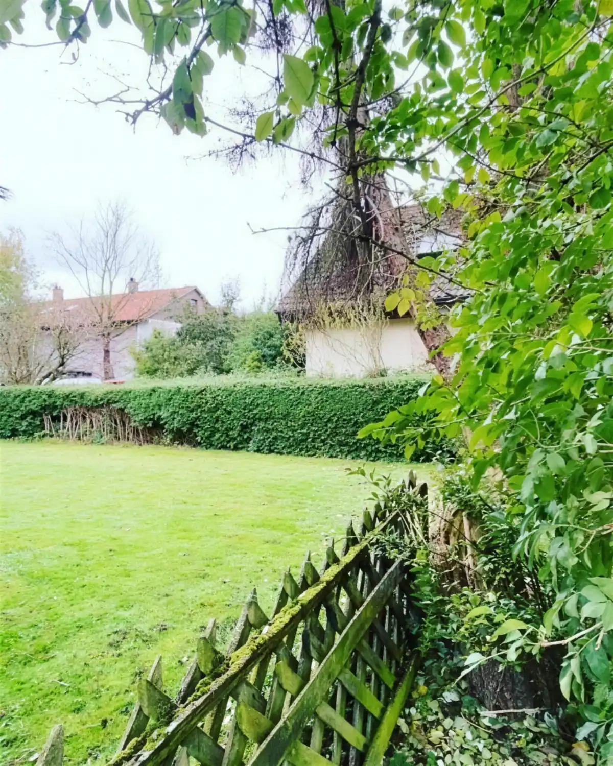 Gepflegte Rasenfläche eines Privatgartens nach dem Schnitt